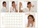 Private Practice Calendriers 2008 