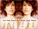 Private Practice Calendriers 2009 
